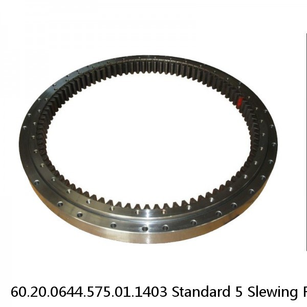 60.20.0644.575.01.1403 Standard 5 Slewing Ring Bearings