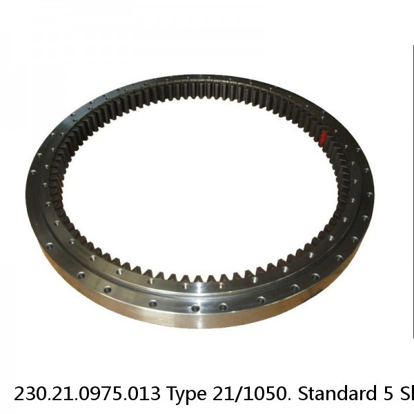 230.21.0975.013 Type 21/1050. Standard 5 Slewing Ring Bearings