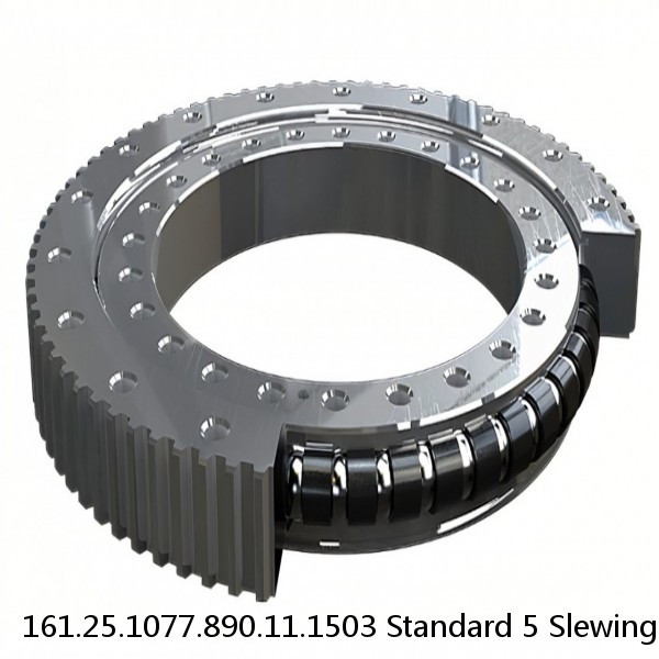 161.25.1077.890.11.1503 Standard 5 Slewing Ring Bearings