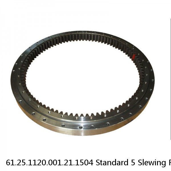 61.25.1120.001.21.1504 Standard 5 Slewing Ring Bearings