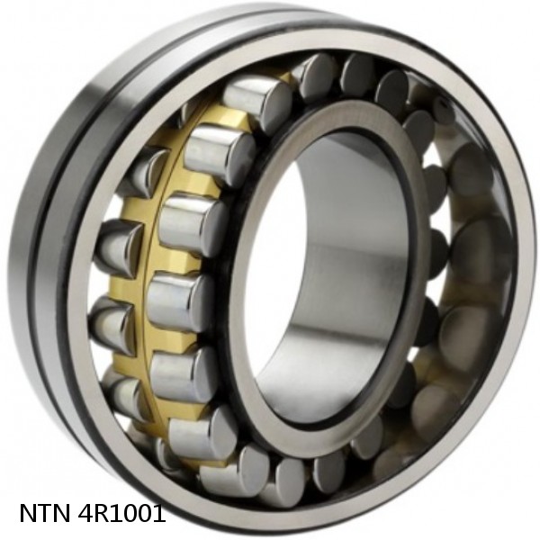 4R1001 NTN Cylindrical Roller Bearing